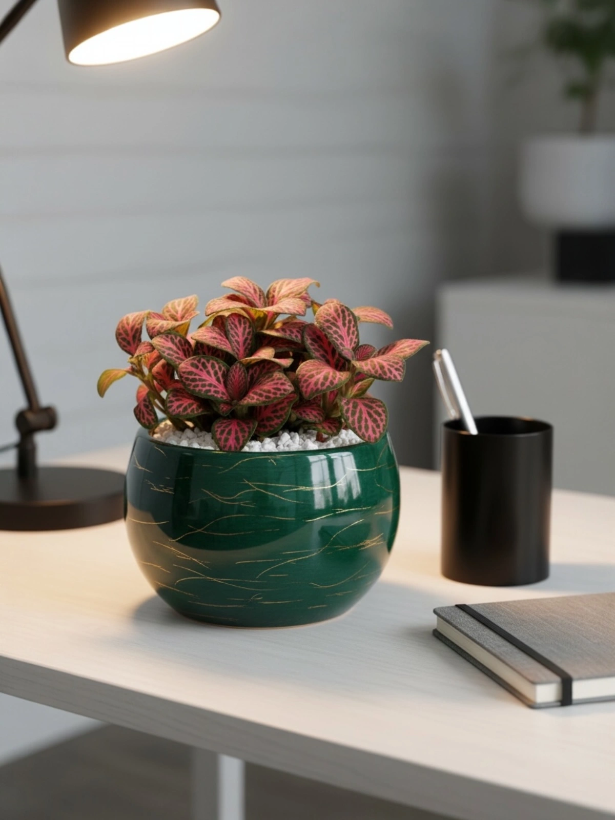 Cây Hoa Cẩm Nhung Đỏ – Sứ Giả Của May Mắn & Tình Thân Bền Chặt