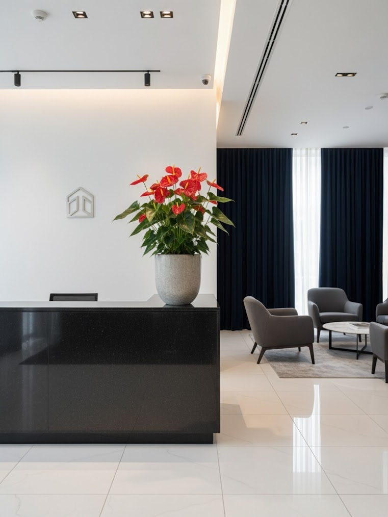 Cây Hồng Môn – 