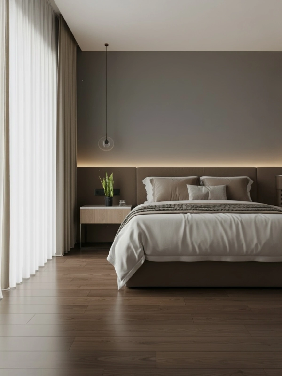 Cây Lưỡi Hổ – 